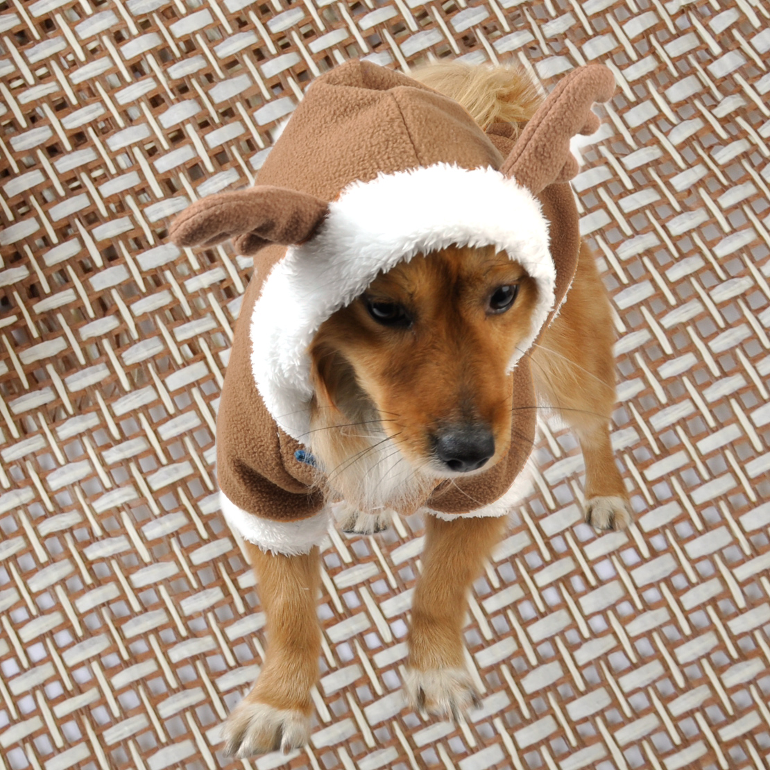 Mesh Weihnachten Rentier Elch Hunde Kostüm Hoodie Hundemantel